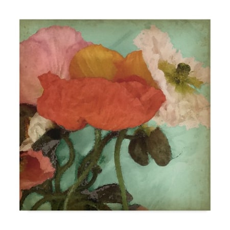 Jennifer Goldberger 'Aquatic Poppies Ii' Canvas Art,18x18